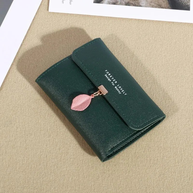 Minimalist Trifold Coin Purse and Credit Card Holder